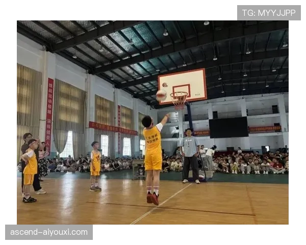 篮球场上怎么正确判定投篮动作是否犯规？